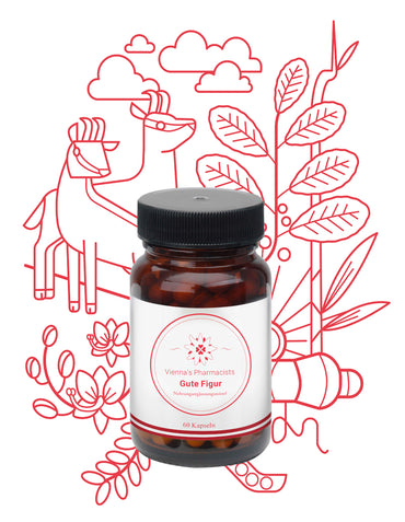 STOFFWECHSEL: VIENNA'S GUTE FIGUR (60 Stk.) Schlankheit & Entschlossenheit