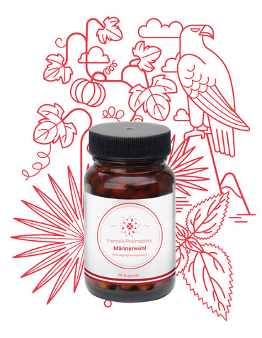 KÜRBISKERN & ZINK: VIENNA'S MÄNNERWOHL (60 Stk.) Ausdauer & Temperament