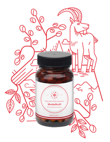 MAGNESIUM SALZE: VIENNA'S MUSKELKRAFT (60 Stk.) Stärke & Elan