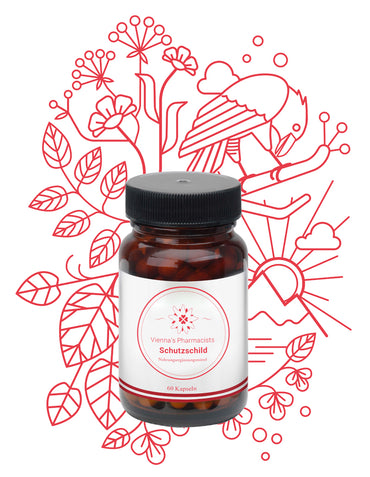 VITAMIN B KOMPLEX: VIENNA'S SCHUTZSCHILD (60 Stk.) Lebenskraft & Frische