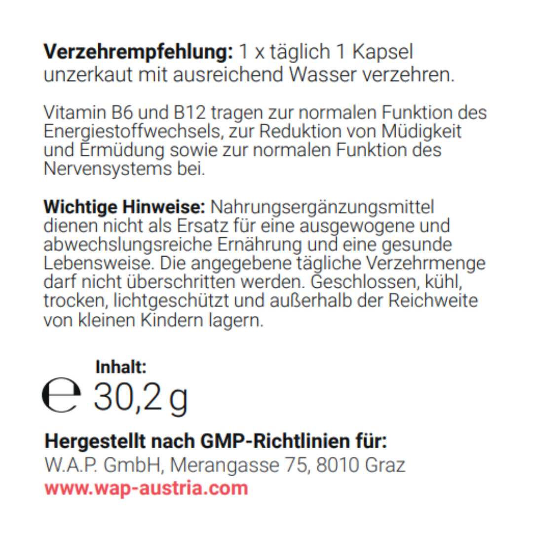 VITAMIN B KOMPLEX: VIENNA'S SCHUTZSCHILD (60 Stk.) Lebenskraft & Frische